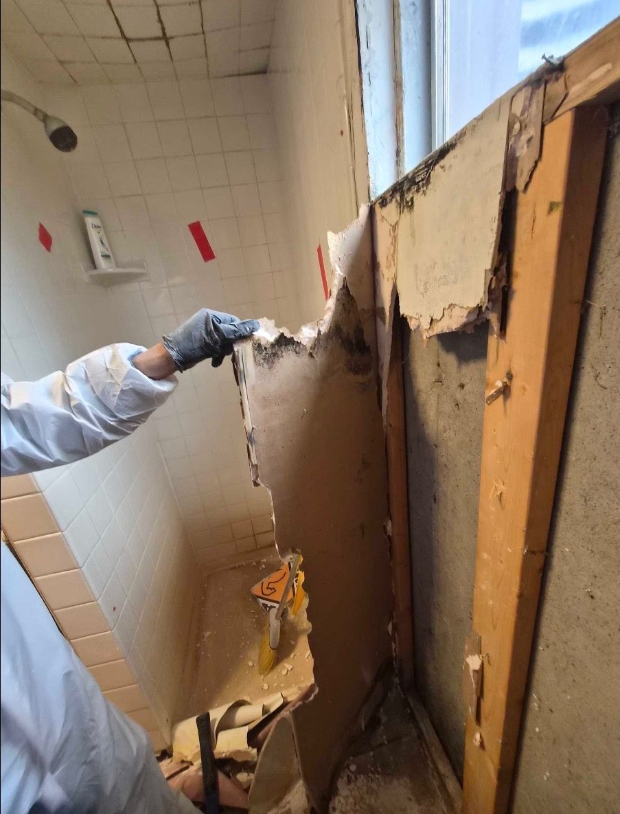 Worker removing damaged wall panel in a room, with exposed insulation and debris near a window.