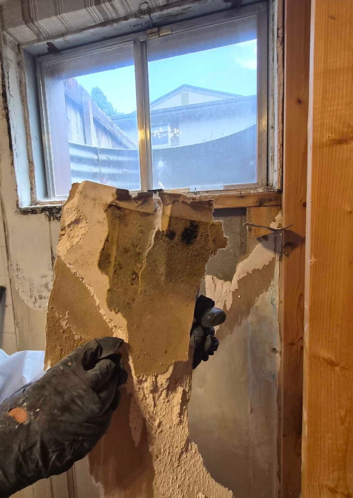 Gloved hands peeling damaged drywall beneath a window in an unfinished room