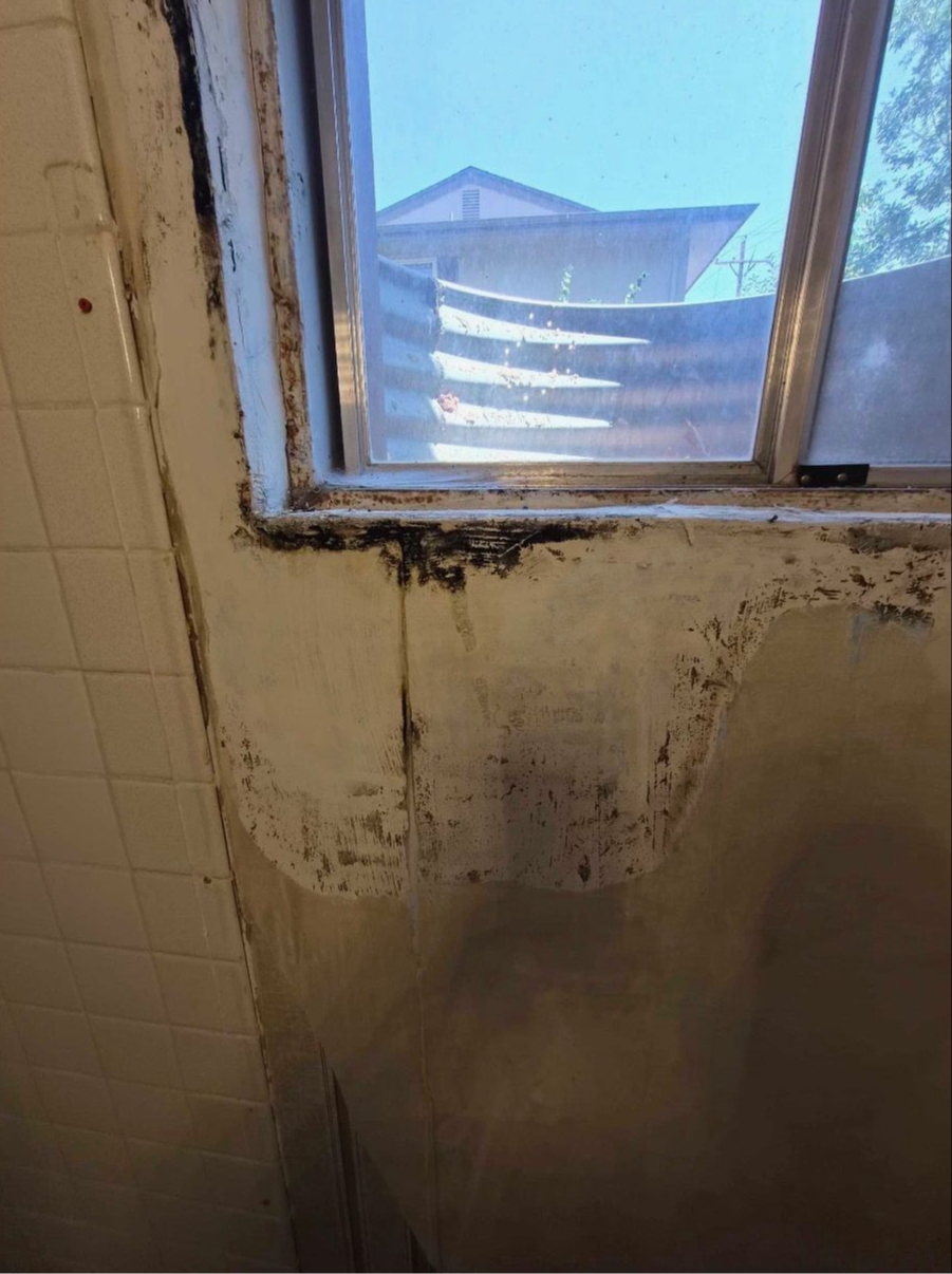 Moldy, water-damaged bathroom wall and window frame with peeling paint