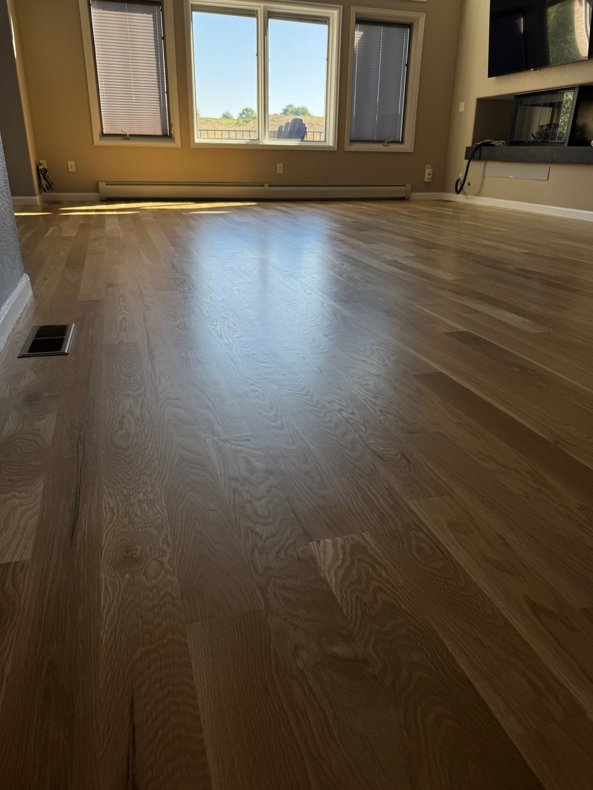 Empty room with wood floor, large windows, and sunlight streaming in.