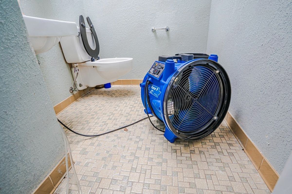 Small bathroom with a toilet and a blue industrial fan on the floor.