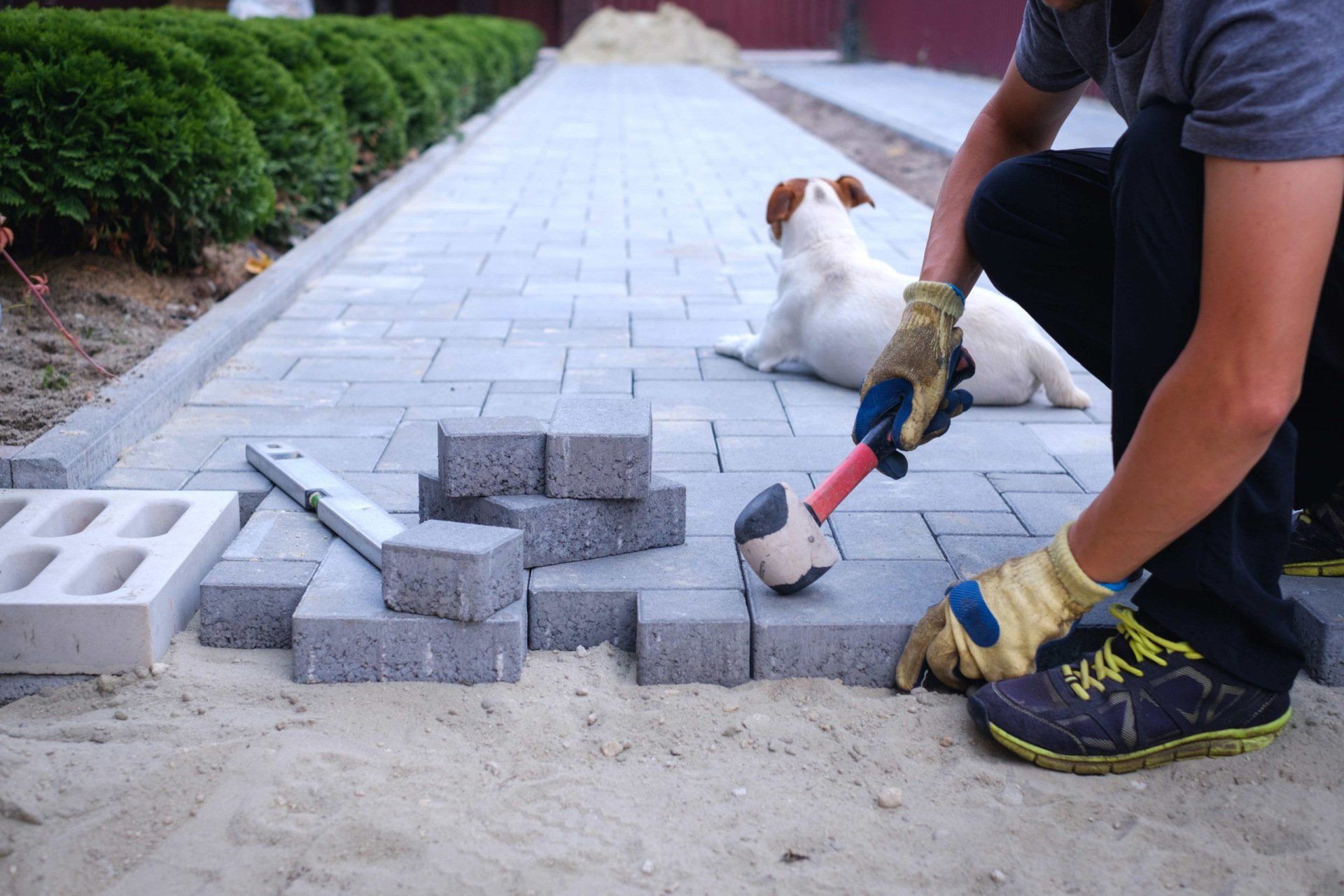 Person laying paving stones with a mallet; dog watches nearby.