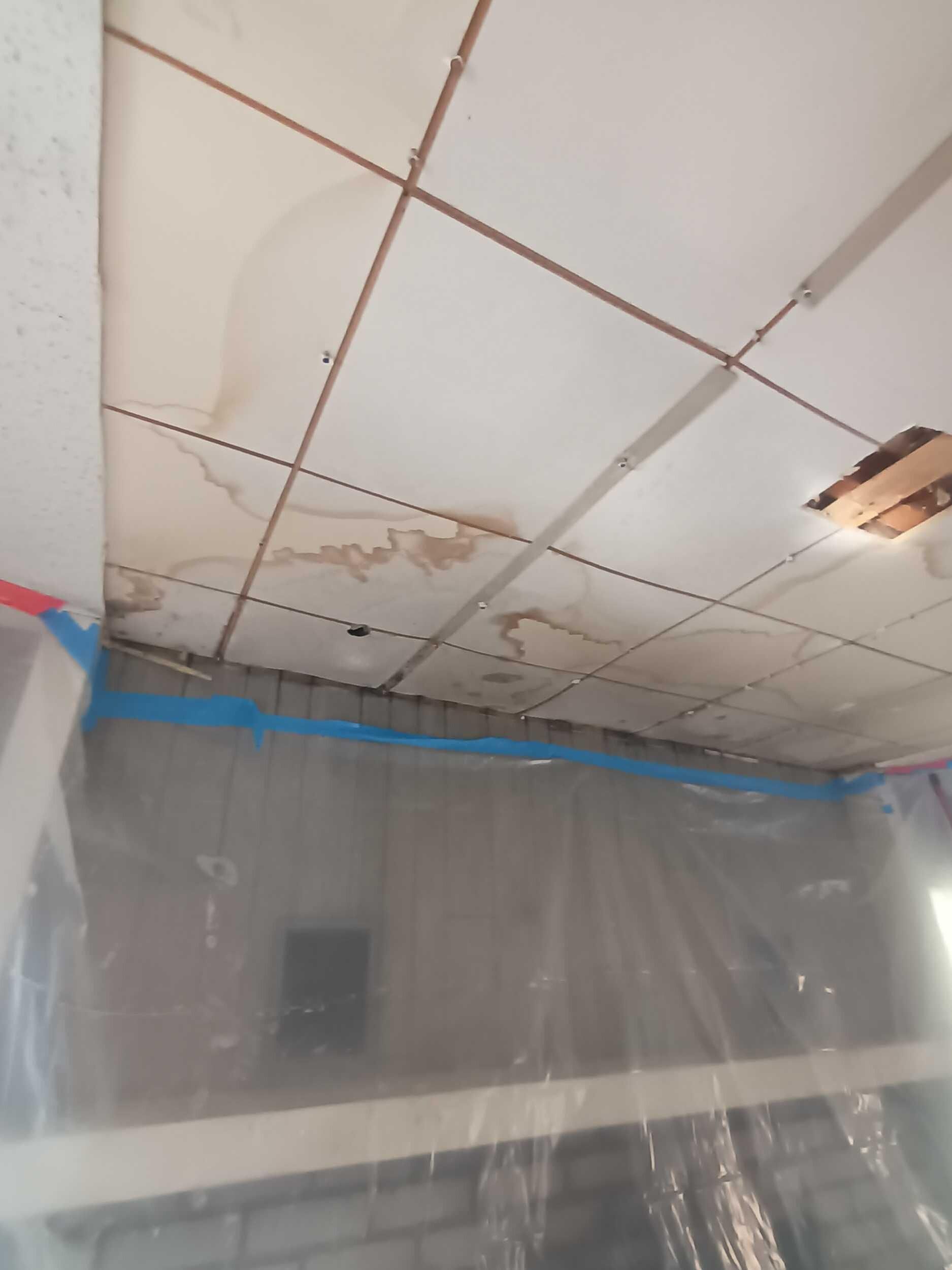 Damaged ceiling tiles with water stains above a plastic-covered wall in a room under repair