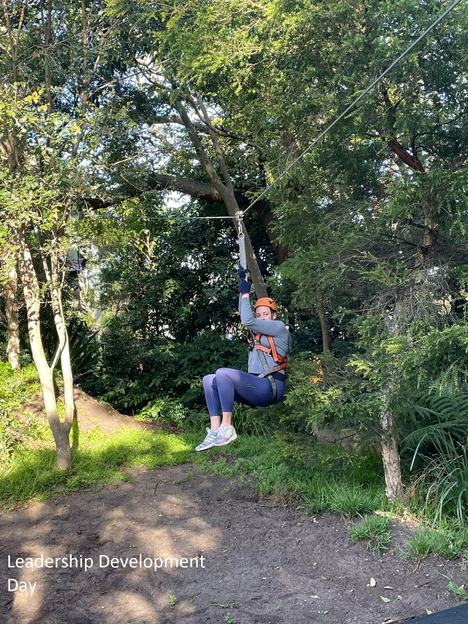 Person on a rope swing in a wooded park, surrounded by trees and greenery.