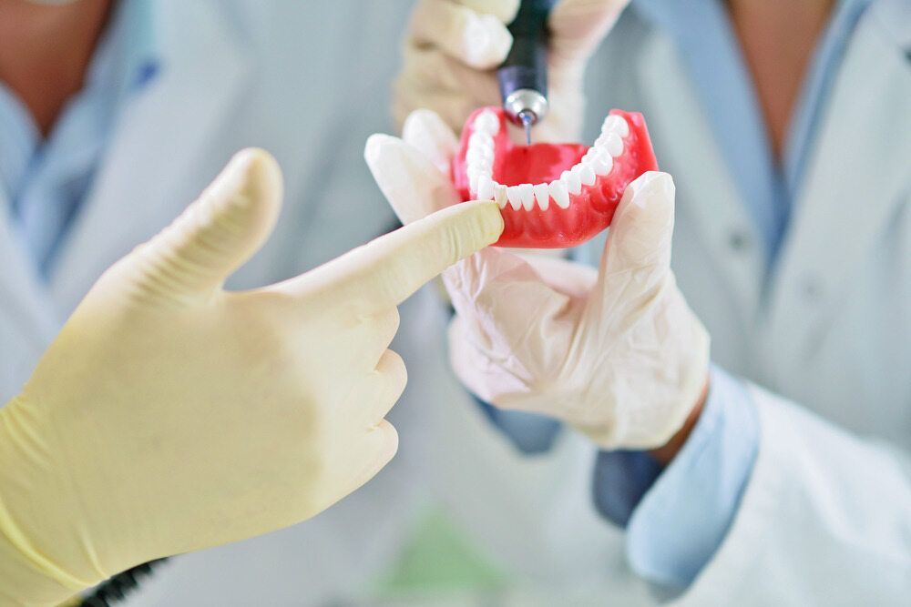 A Dentist is Holding a Model of a Denture and Pointing at It — Jaw Gear Dental Prosthetics in Mittagong, NSW