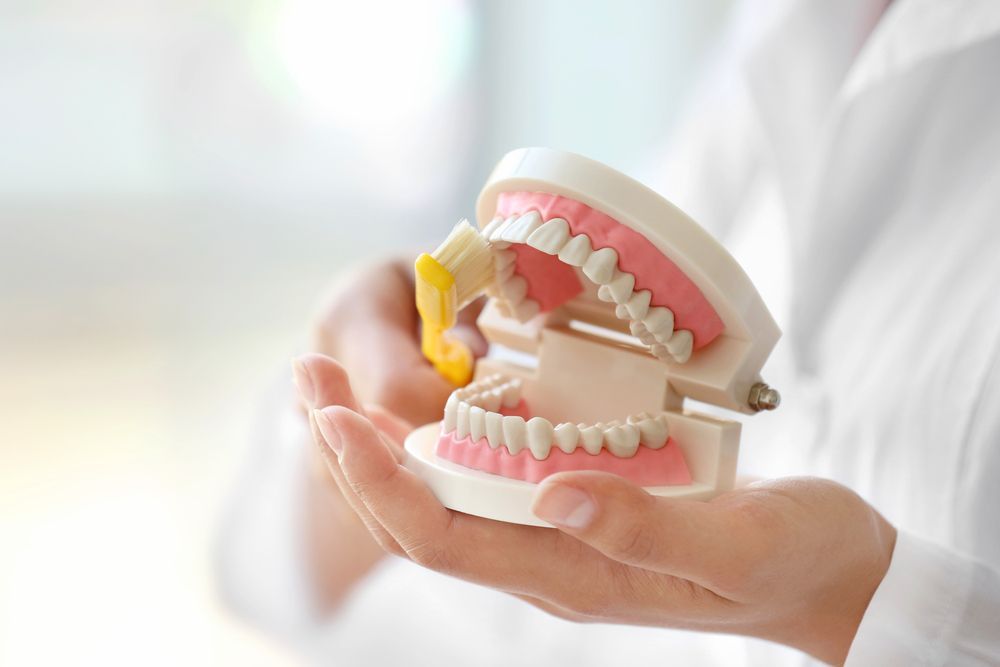 A Pair of Dentures Being Held and Cleaned By Dentist — Jaw Gear Dental Prosthetics in Bowral, NSW