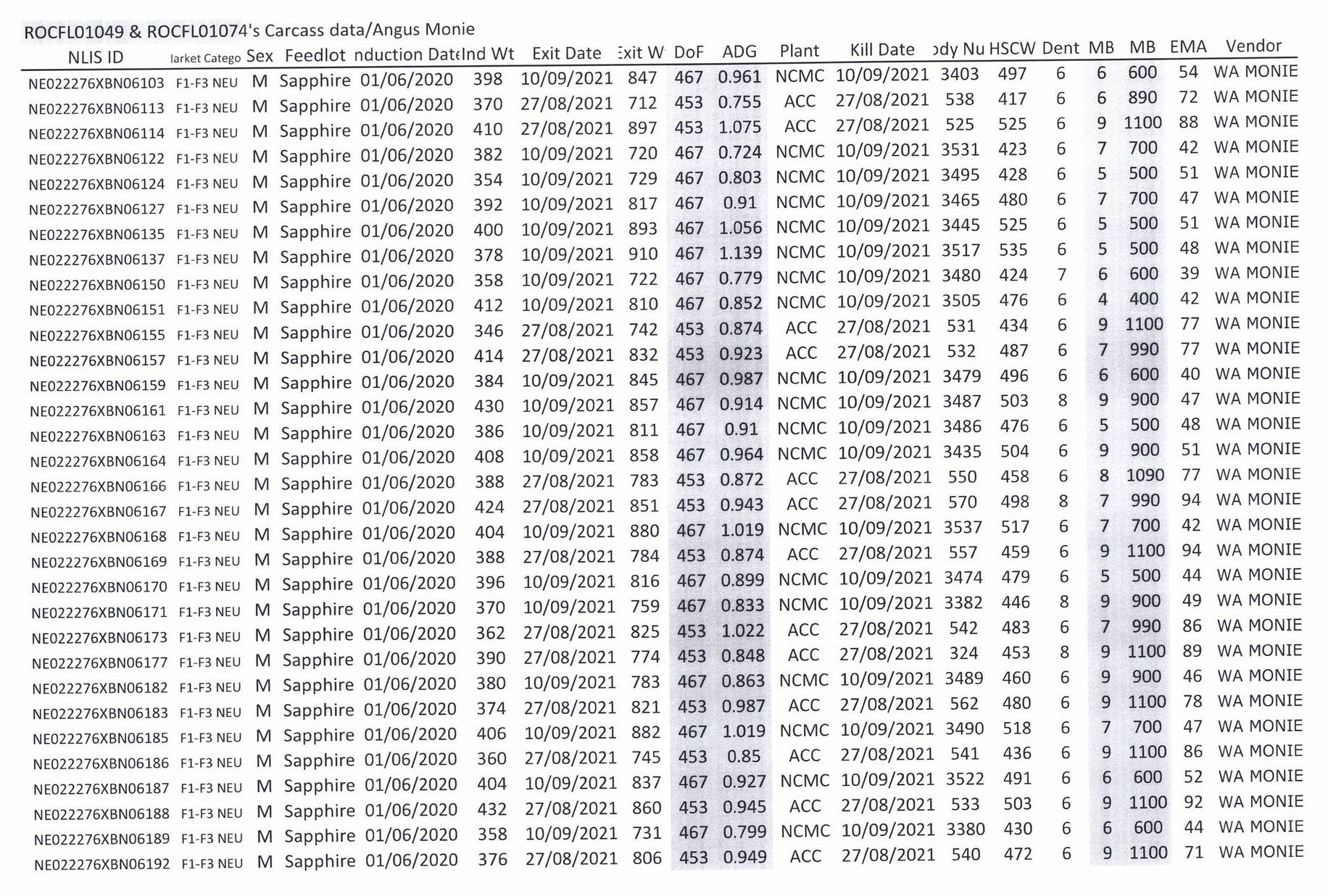 Carcass Data - Angus Monie