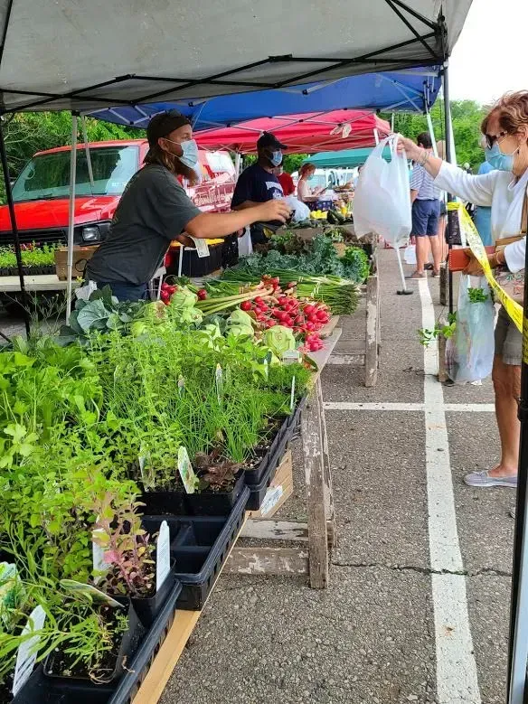 Farmers market stall with potted plants and flowers under a canopy, vendor handing a bag to a customer
