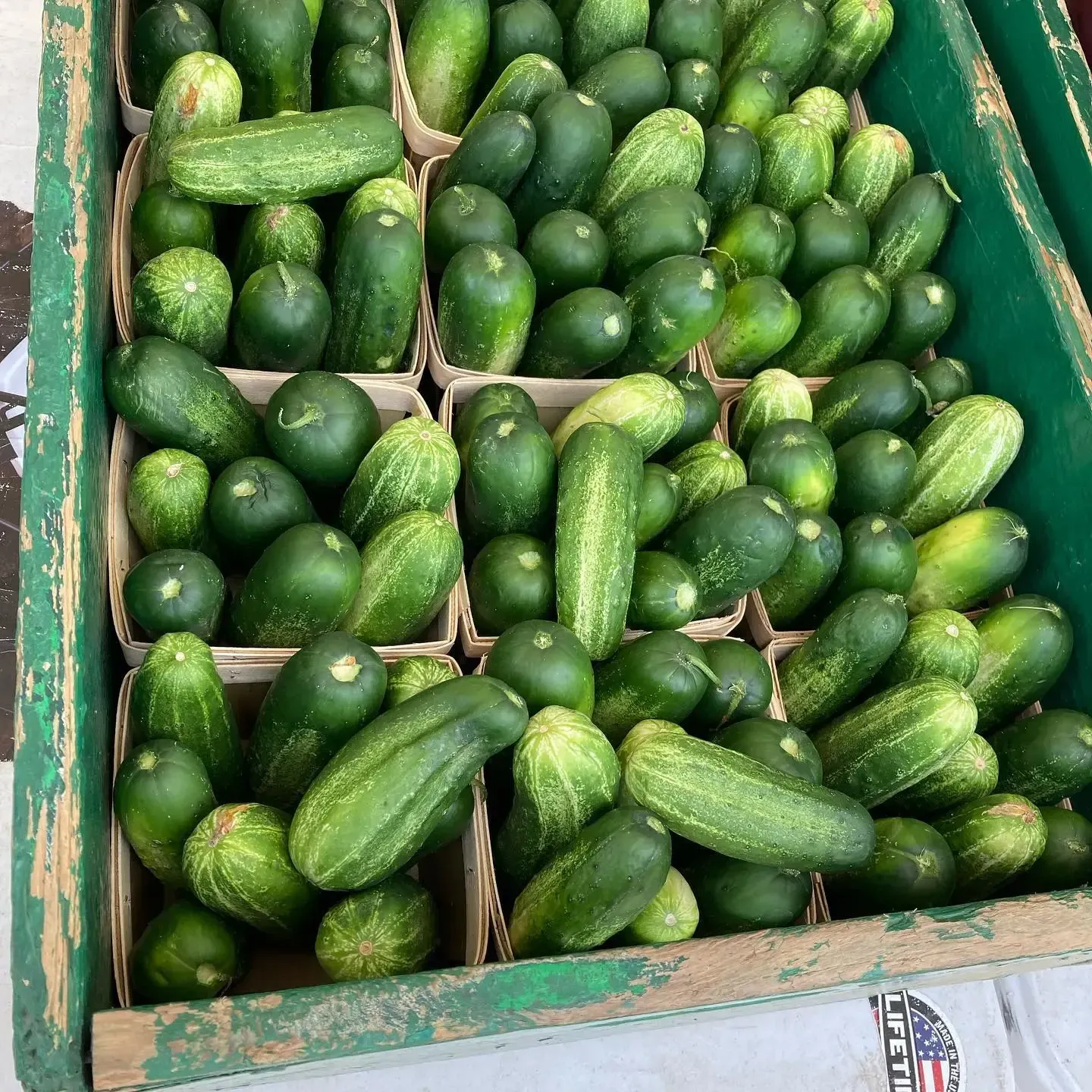Green cucumbers piled in wooden crates at a market stall