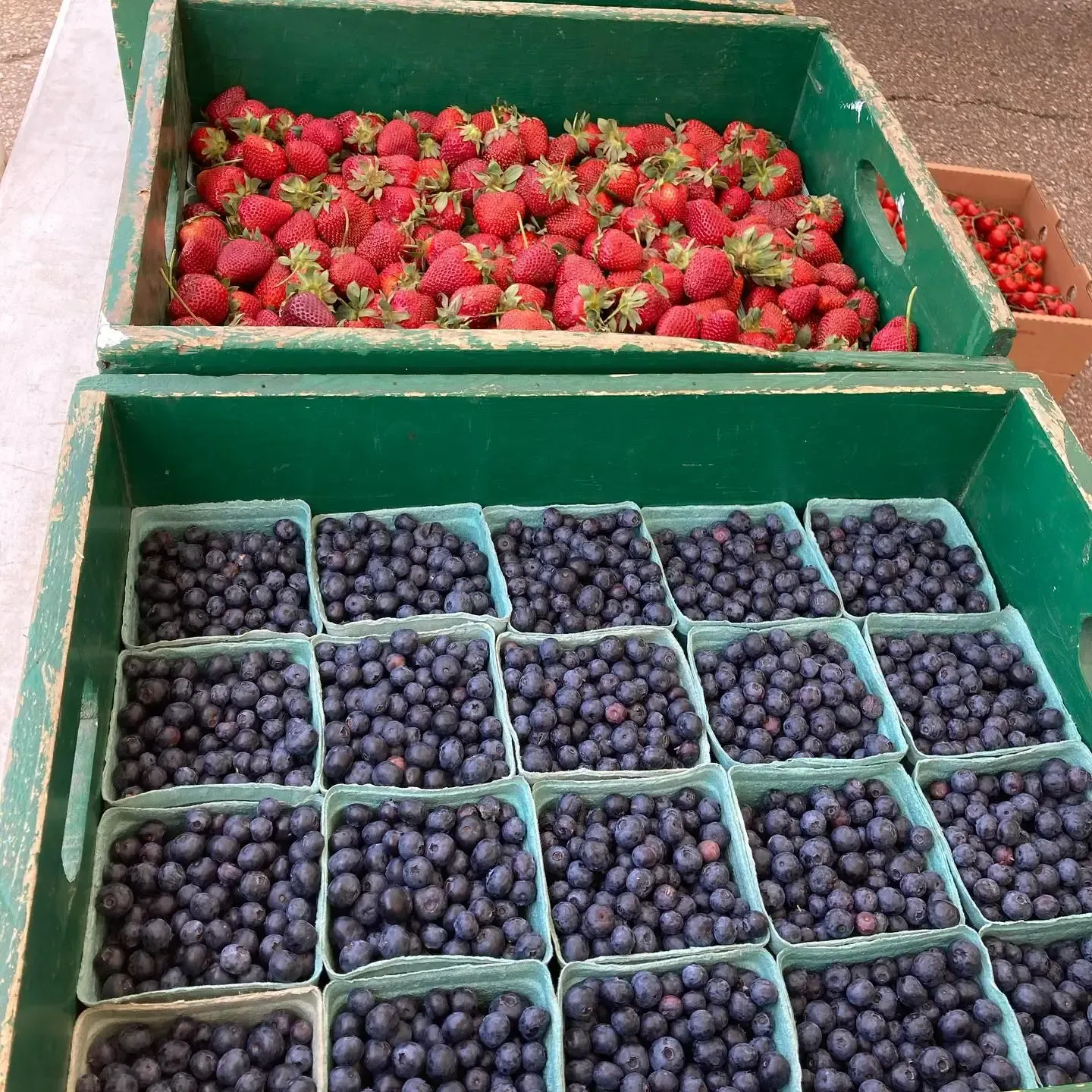 Crates of red strawberries and blueberries in small green containers at a market stall