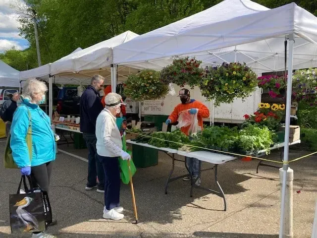 Outdoor farmers market stall with hanging plants, vegetables, and shoppers browsing under white tents