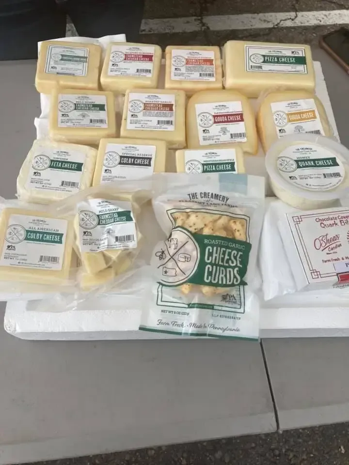 Assorted packages of cheese and cheese curds arranged on a table with price labels