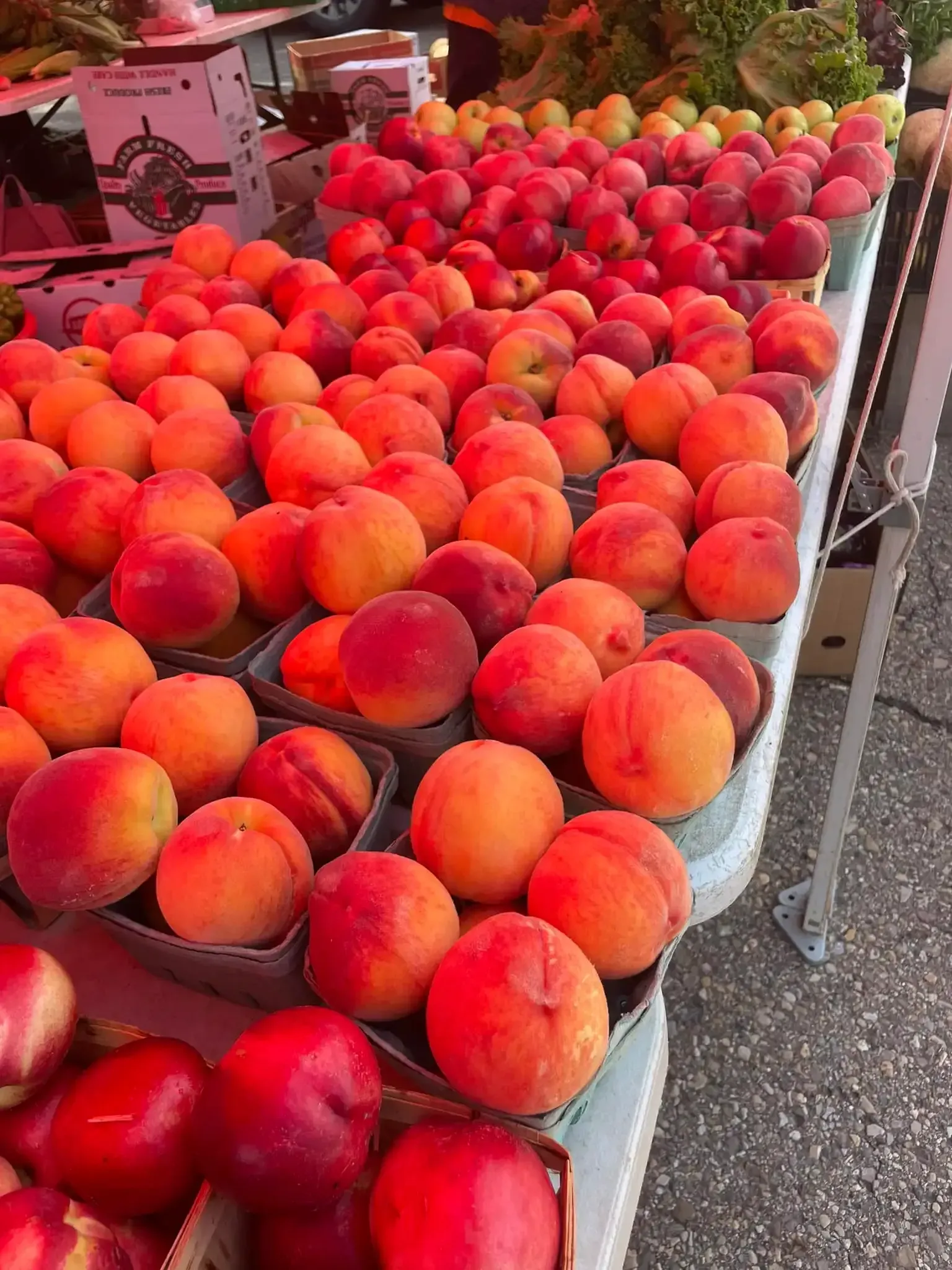 Tables piled high with red and orange peaches at an outdoor market stall