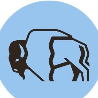 Black buffalo silhouette on a light blue circle background
