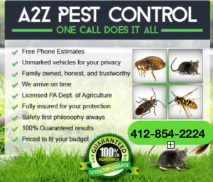 A2Z Pest Control ad with service bullets, pest photos, and phone number 412-854-2224 on green grass background