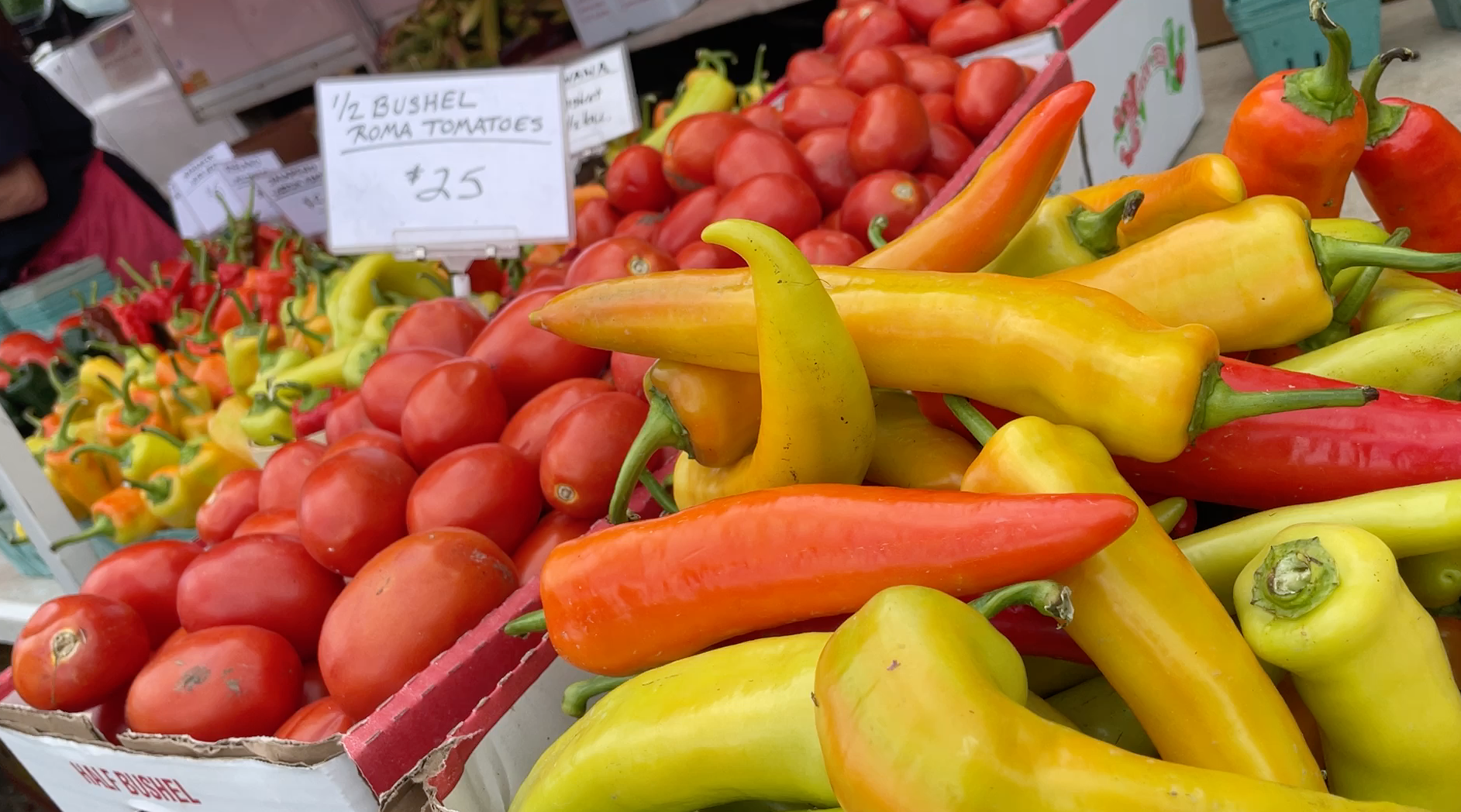 Assorted colorful peppers and tomatoes displayed in a market stall with a price sign