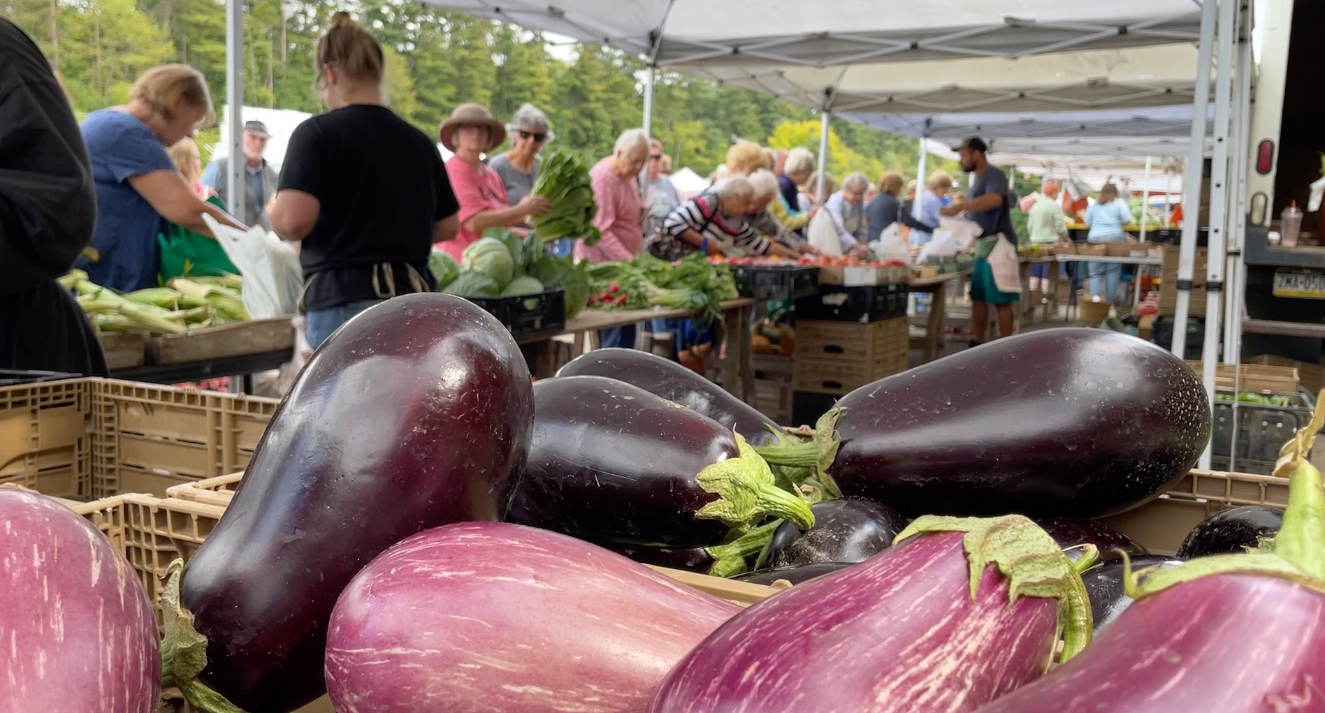 Eggplants on display at a busy outdoor market stall with shoppers in the background.