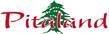 Pitland logo in pink and green script on a light background