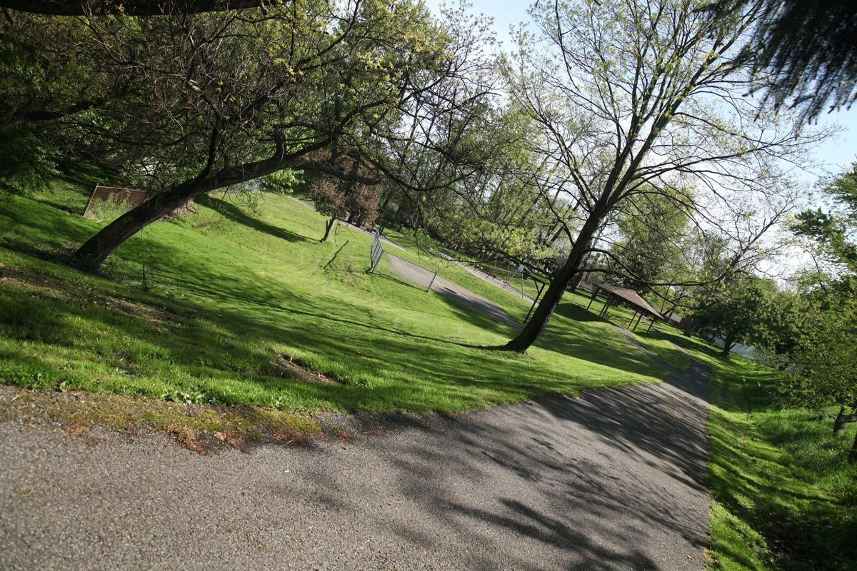 Sunlit park with a winding gravel path, green grass, and trees on a sloping hill