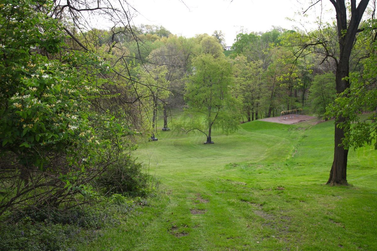Lush green park clearing with trees and a grassy path on a cloudy day
