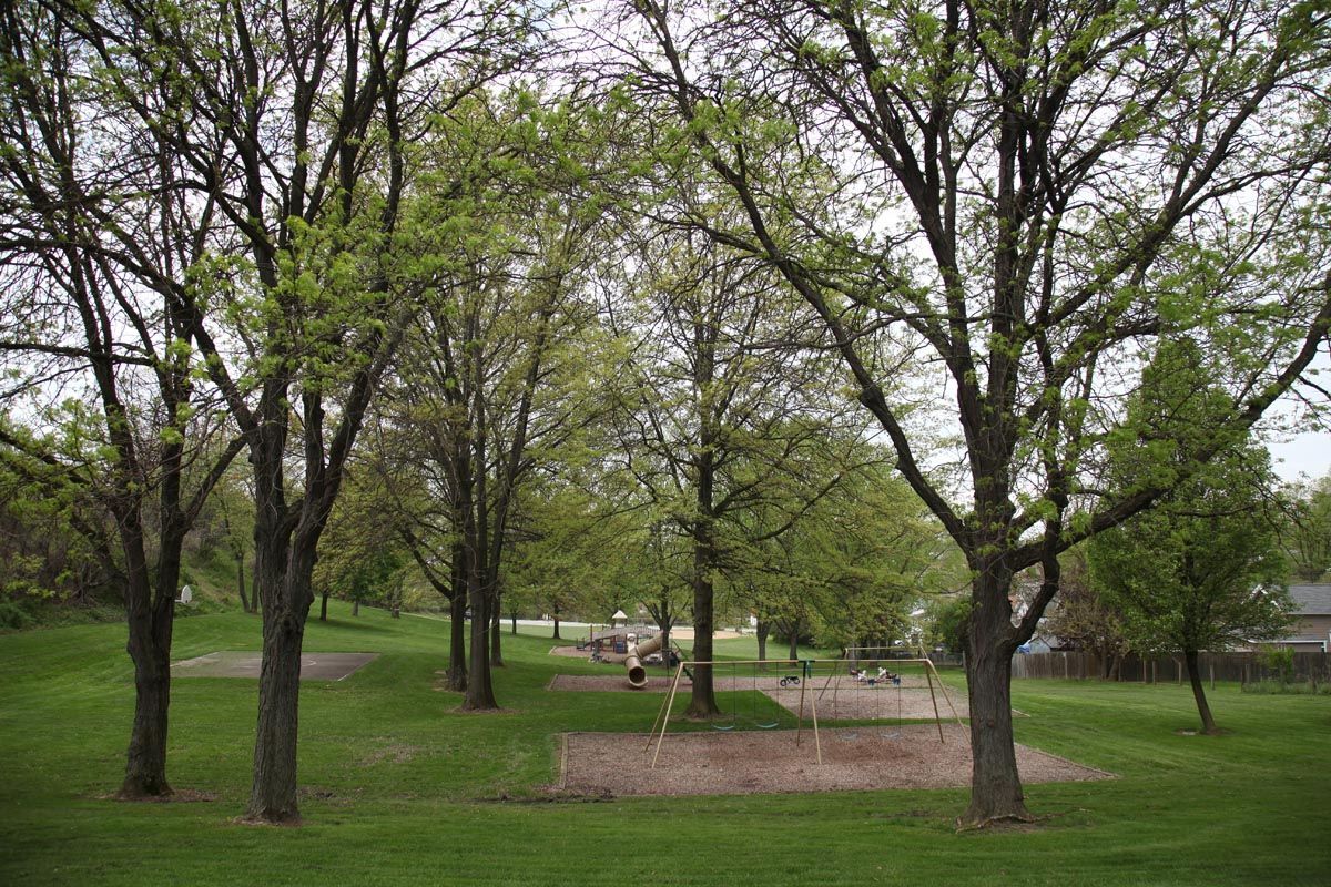 Tree-filled park with green grass, a paved path, and a picnic area under cloudy skies