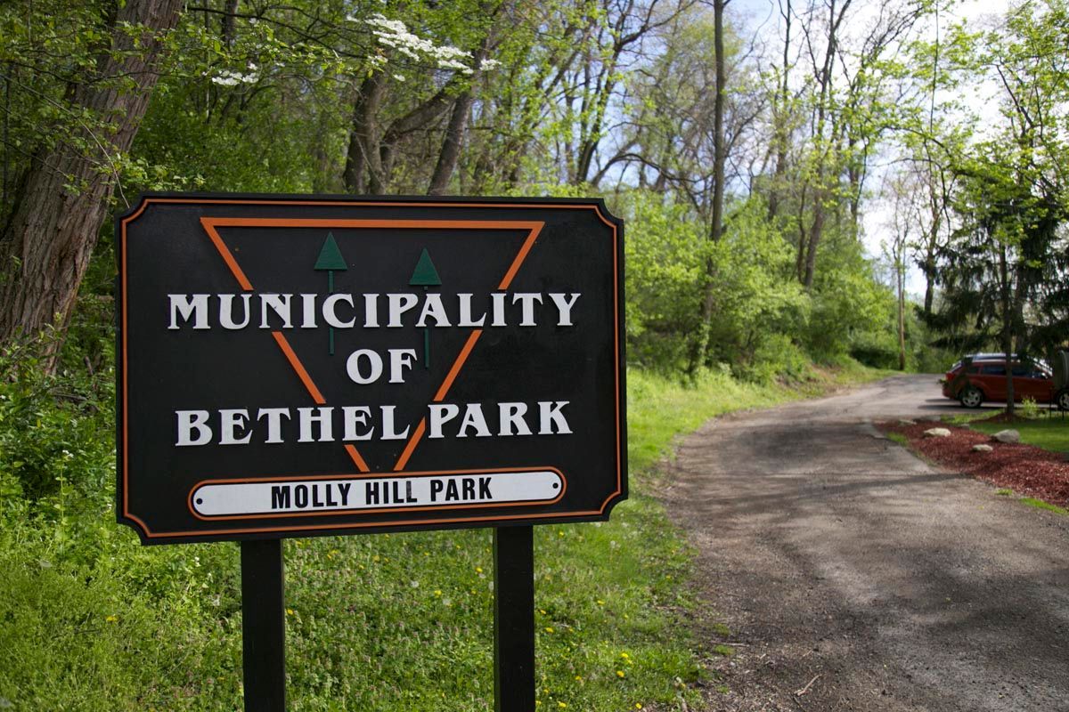 Sign for Municipality of Bethel Park at J.L. Hill Park beside a wooded road