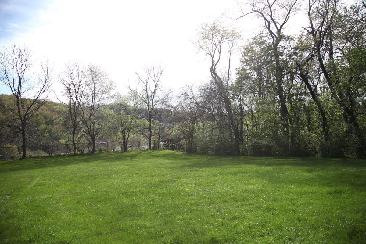 Grassy field bordered by trees under a bright, overcast sky