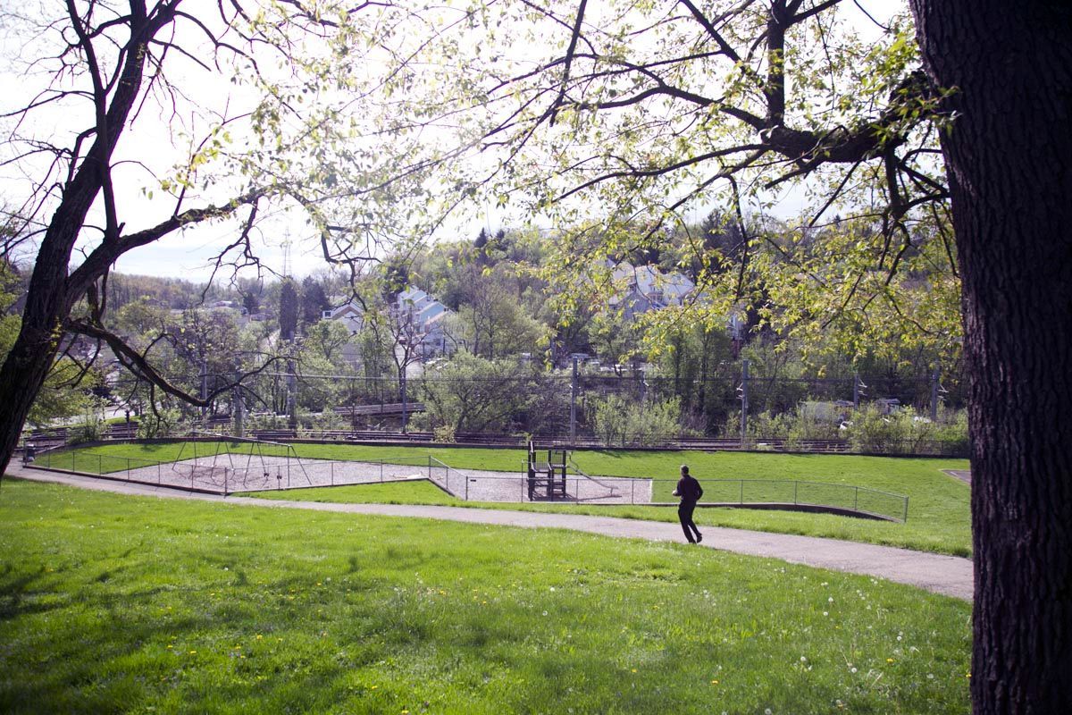 Park with green lawn, winding path, trees, and a person walking near a small pond.