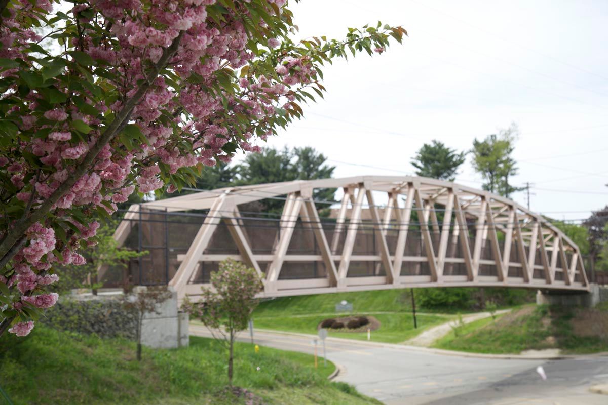 Wooden pedestrian bridge over a grassy path, framed by pink blossoms and trees