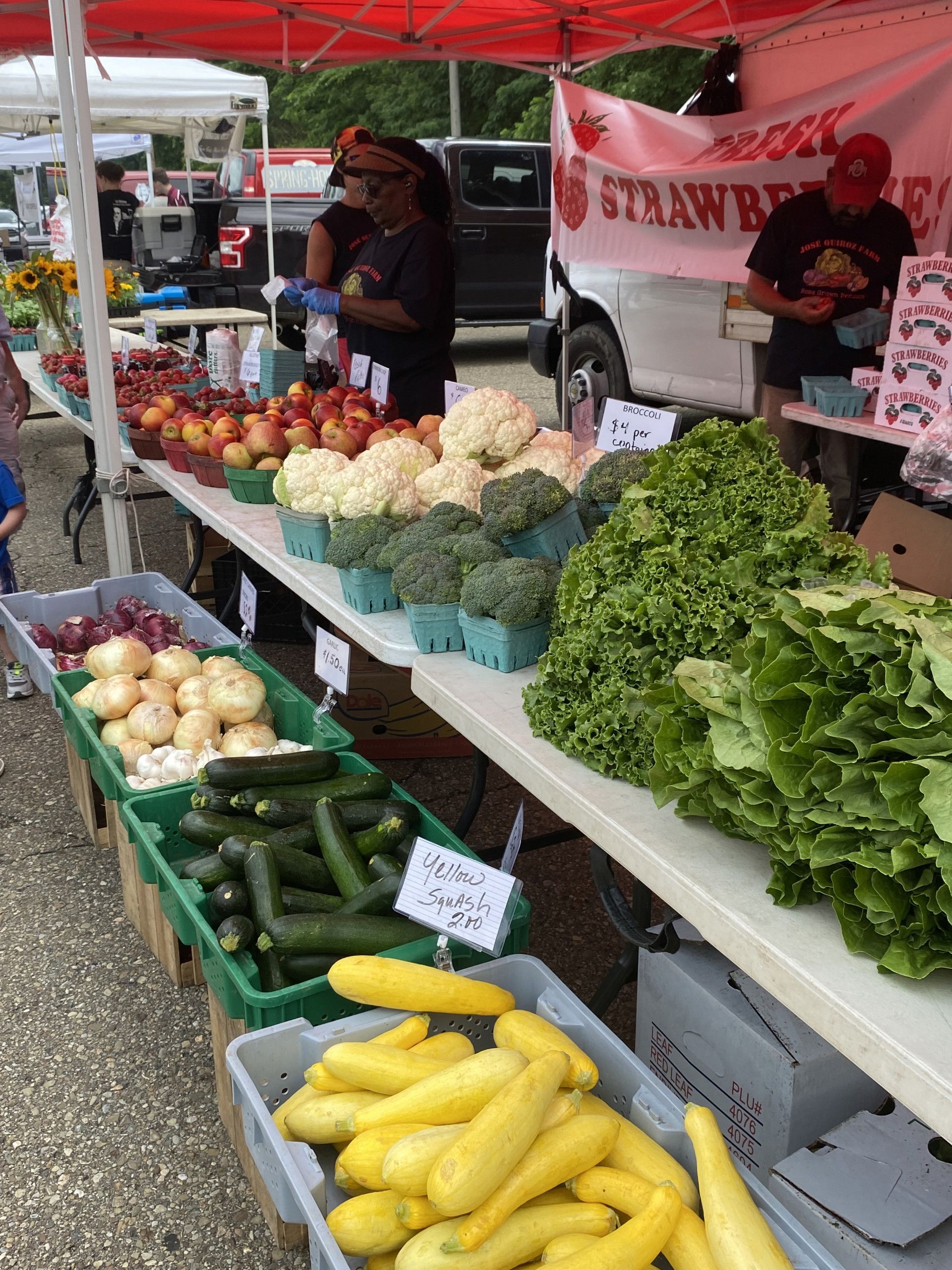 Farmers market produce stand with lettuce, squash, cucumbers, apples, and cauliflowers under red tents