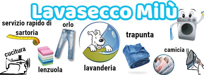 lavasecco