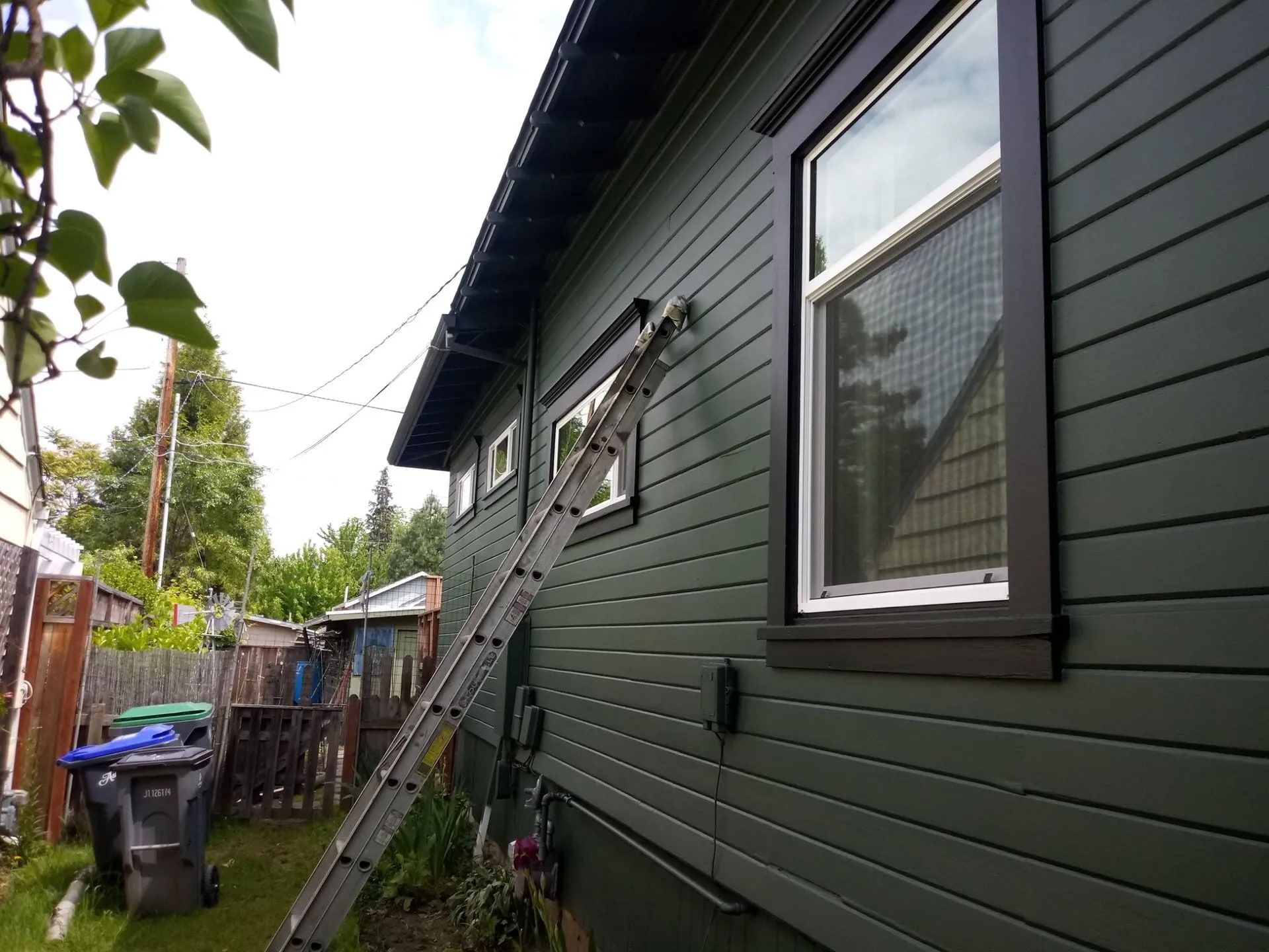 An extension ladder leans against the side of a dark green house with windows, positioned on a grassy residential lot.
