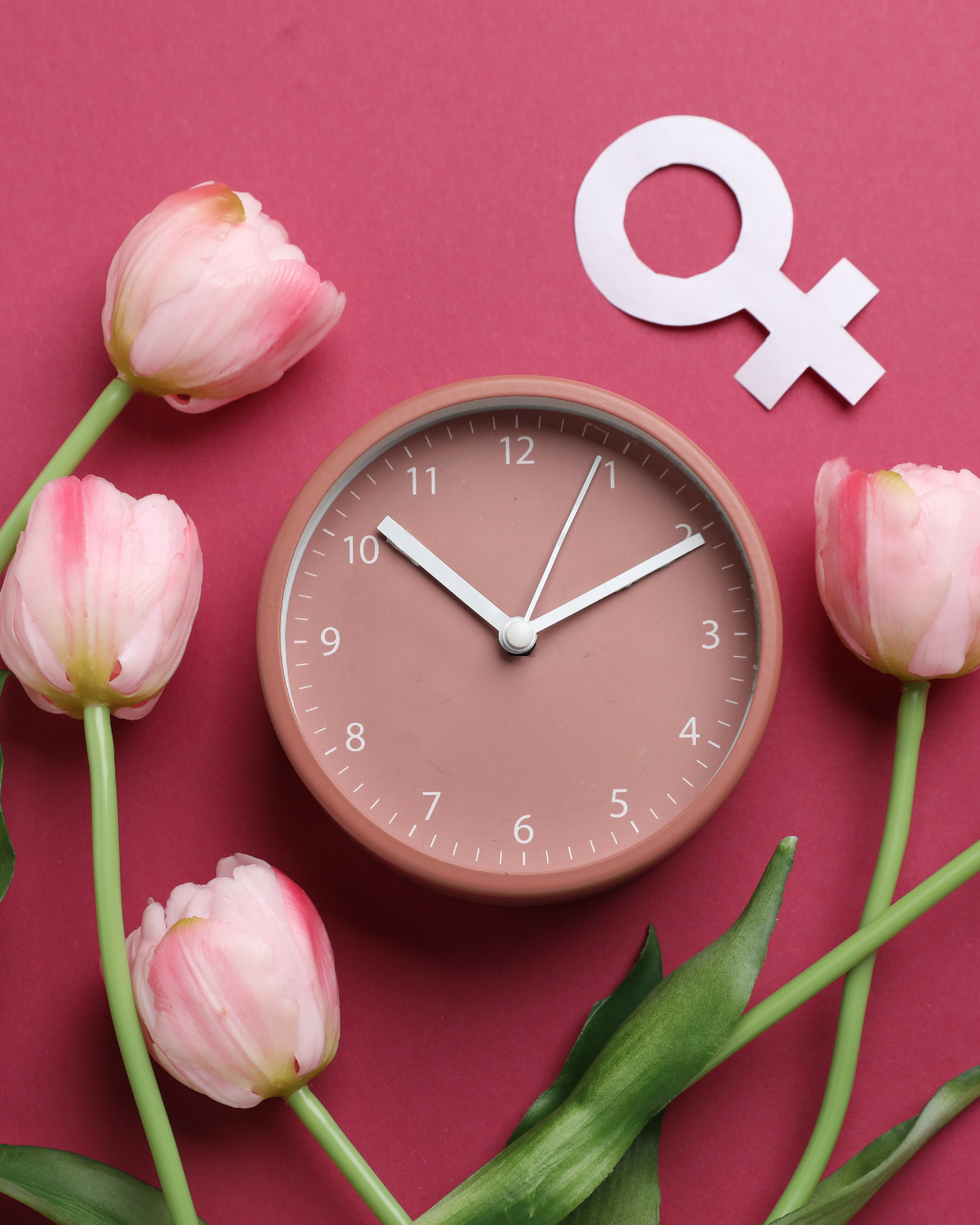 Pink tulips around a rose clock with white female symbol on a pink background