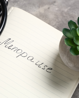 Notebook page with “Menopause” handwritten beside a small potted succulent