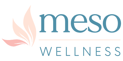 Meso Wellness logo with a peach leaf icon and teal text on a white background