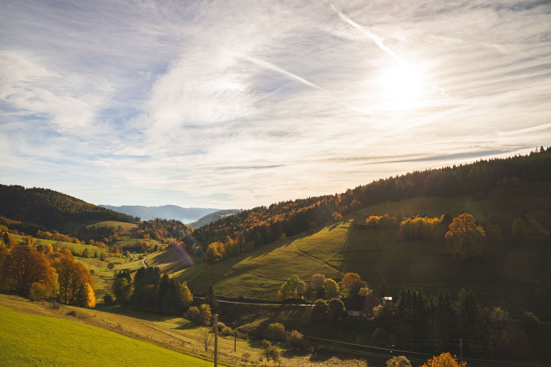 Herbstlicher Schwarzwald mit bewaldeten Hügeln, Wiesen und tiefstehender Sonne