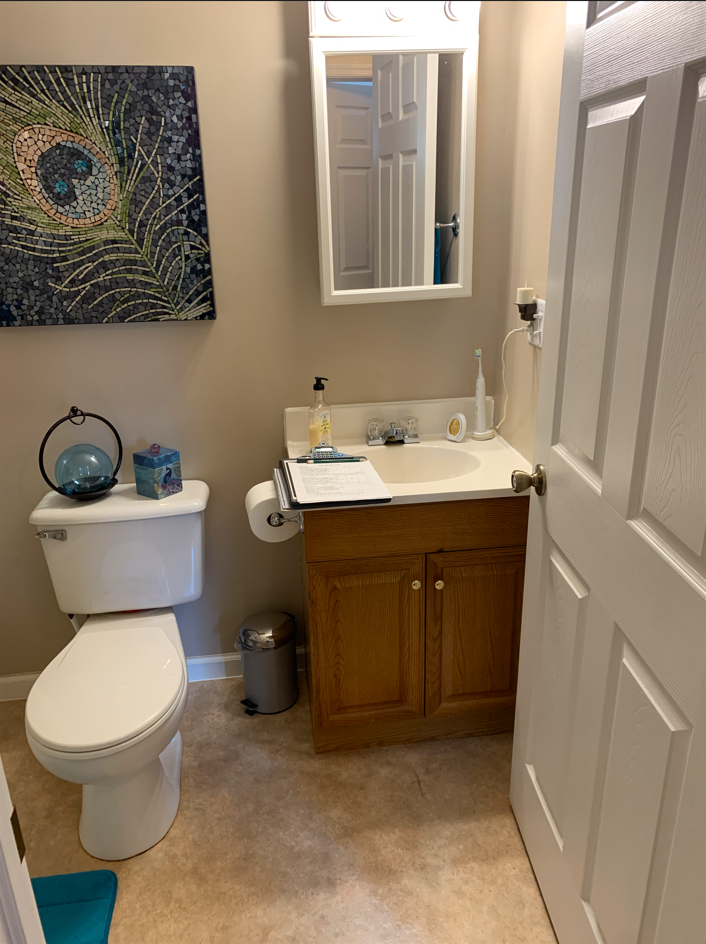 Small bathroom with toilet, wood vanity, mirror, and peacock wall art.
