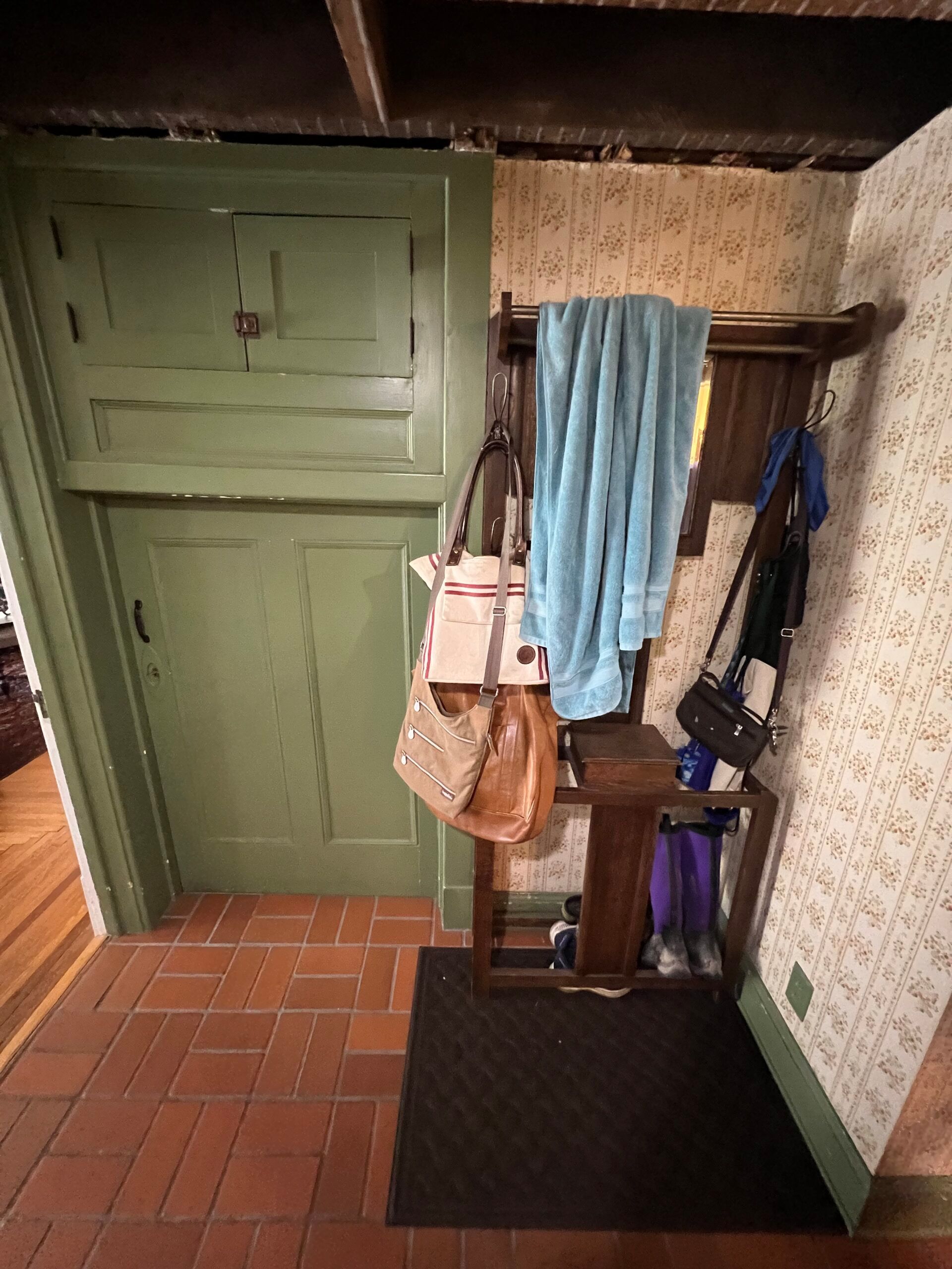 Small entryway with a green door, brick floor, wall hooks holding bags and towels, and a black mat.