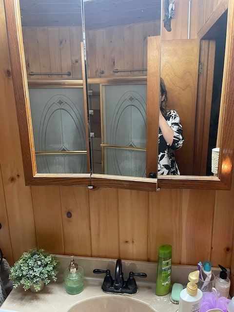 Wood-paneled bathroom vanity with mirrored cabinet, sink, toiletries, and a small plant.
