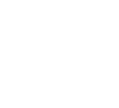 Butterfly Icon
