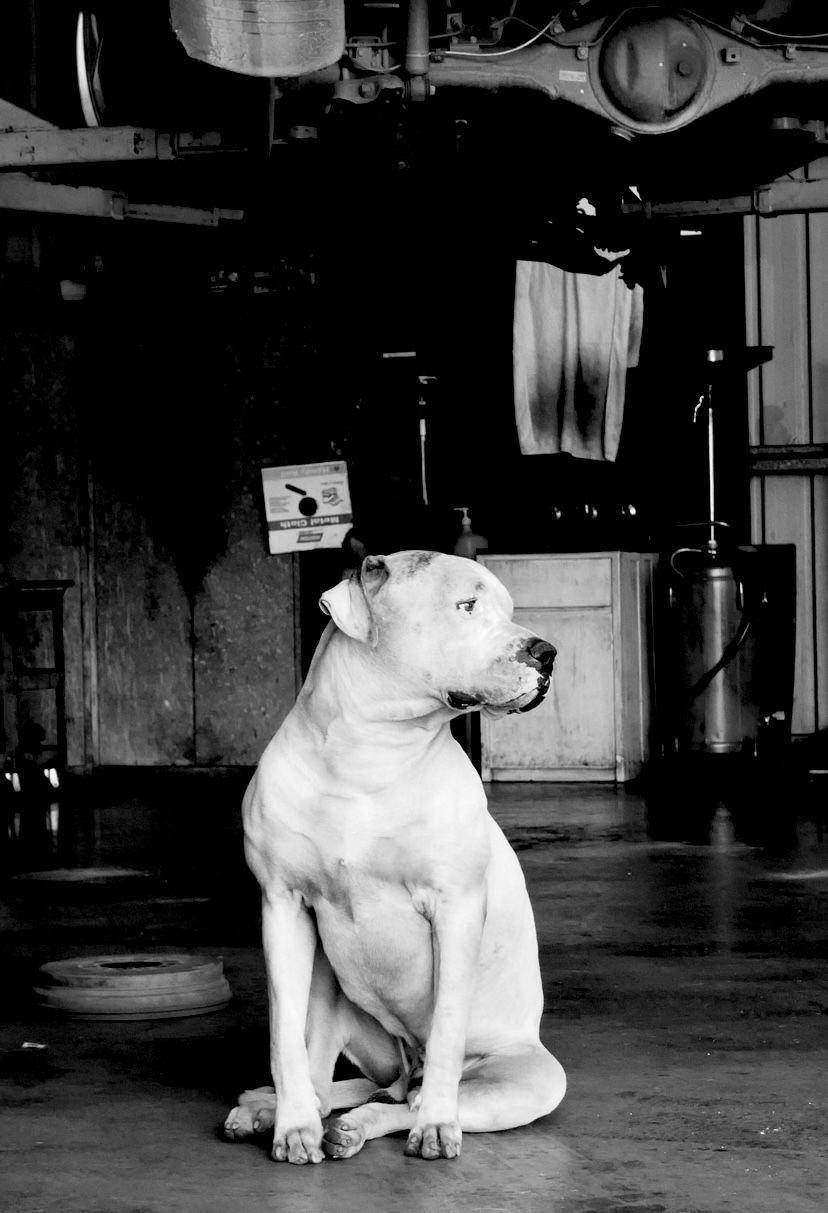 A Close Up of an Exhaust Pipe of a Truck — JJE Automotive In Yarrawonga, NT