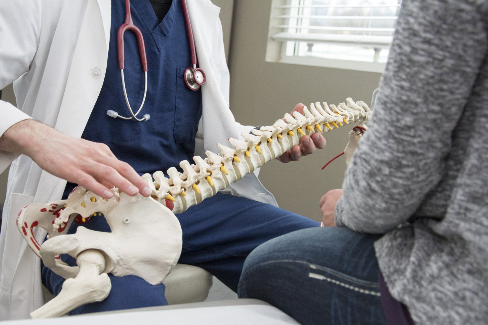 Picture of a chiropractor showing a patient proper spine alignment