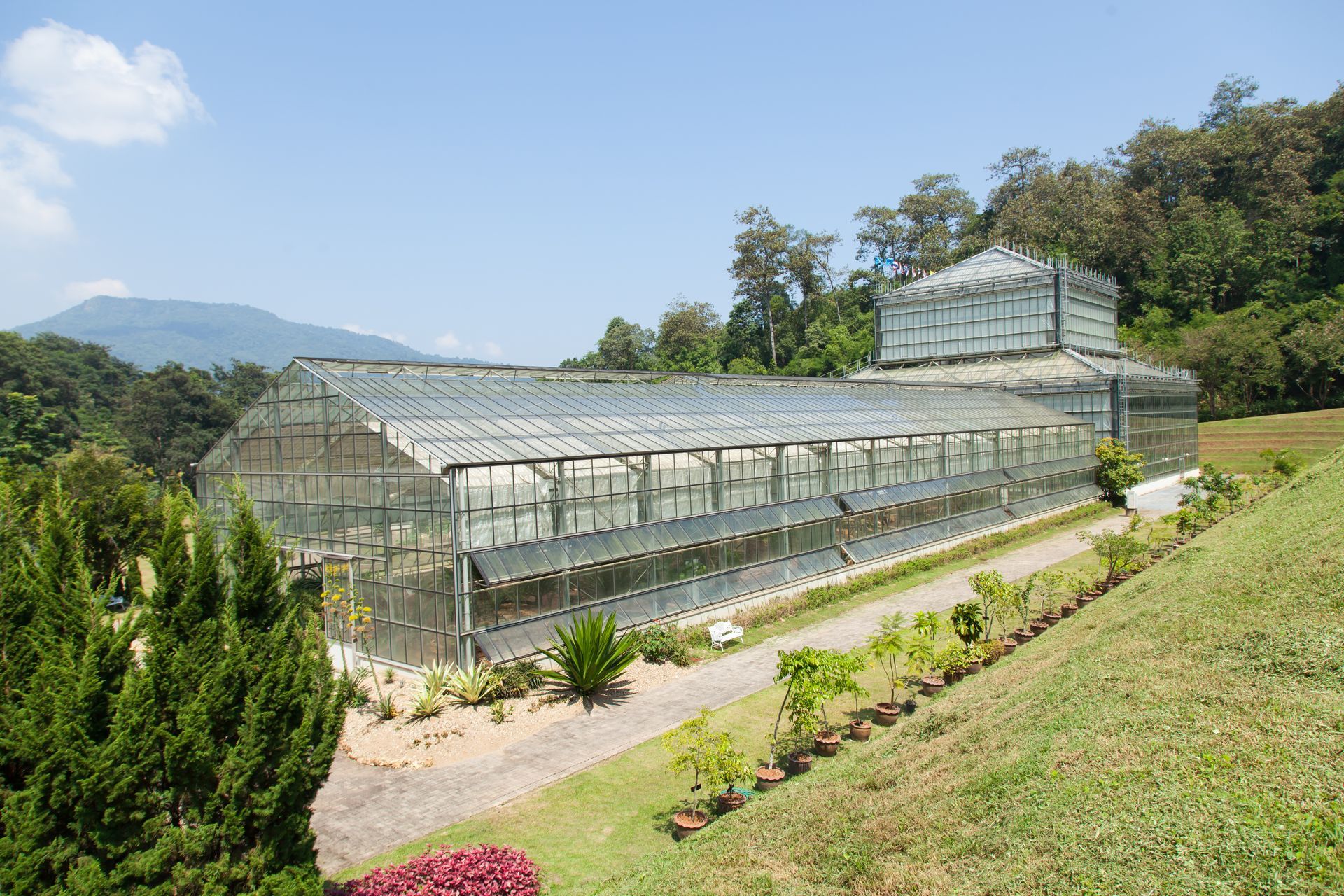 Glass greenhouse on a hillside garden with mountains in the background under a blue sky