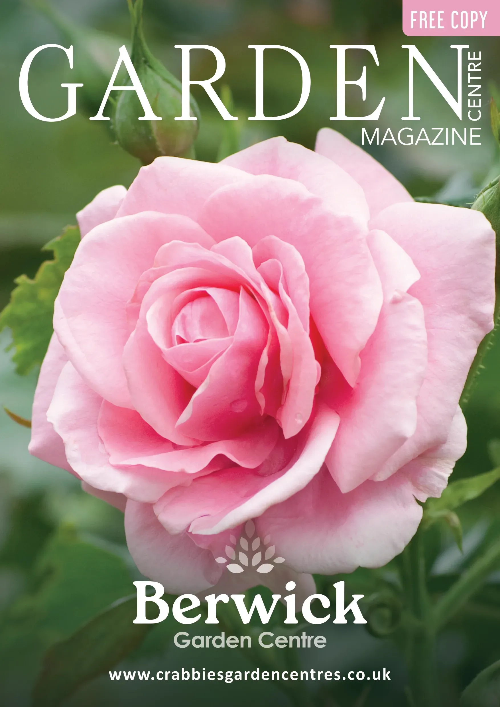 A soft pink rose in full bloom on the cover of a Berwick Garden Centre magazine.