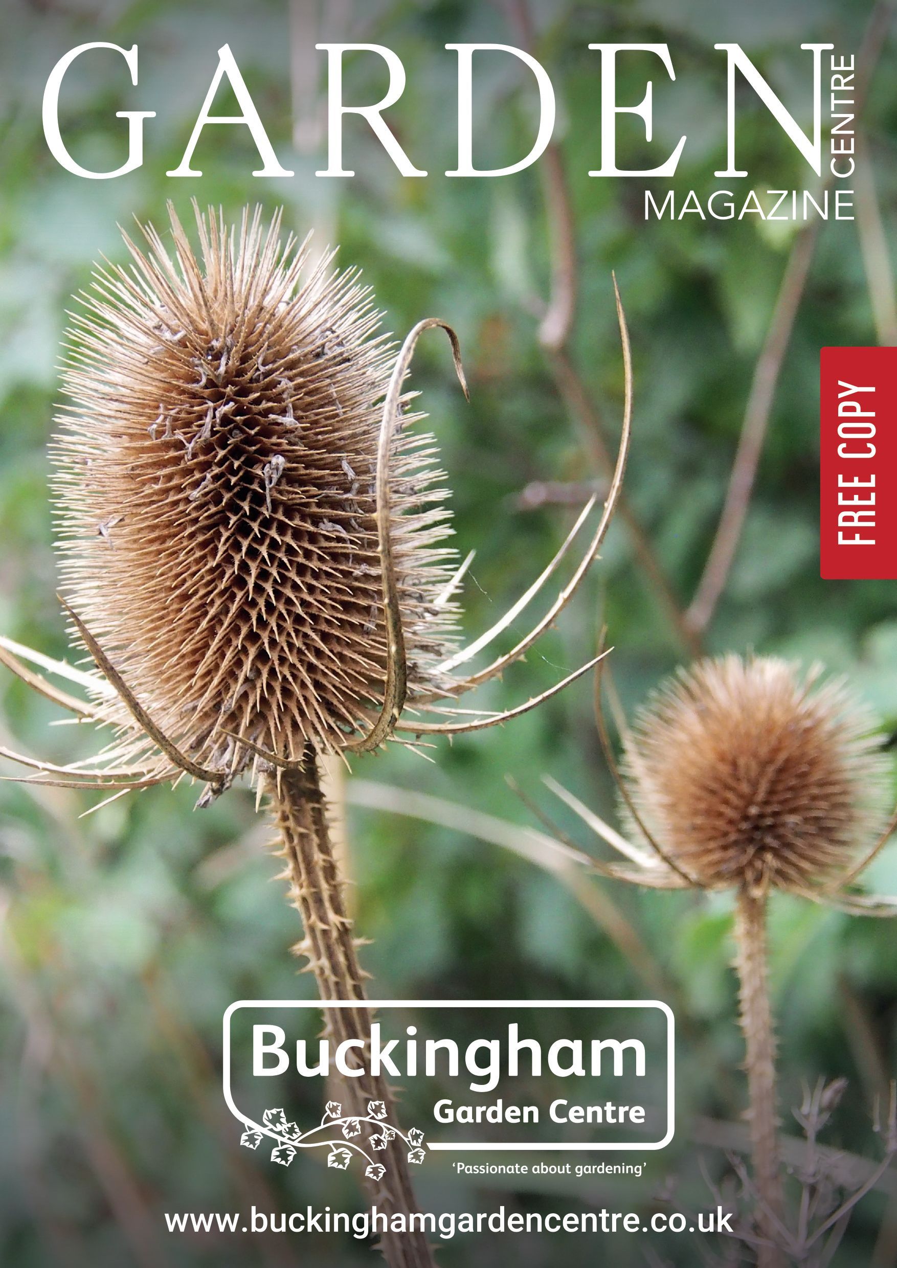 Cover of Buckingham Garden Centre magazine, featuring two dried teasel seed heads against a soft green background.