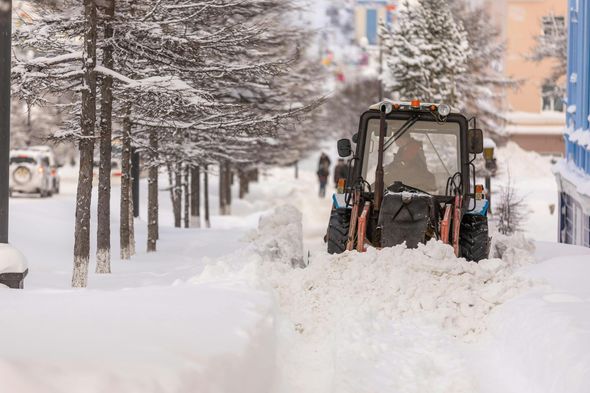 Snowplow clearing a snow-covered sidewalk lined with trees and buildings.