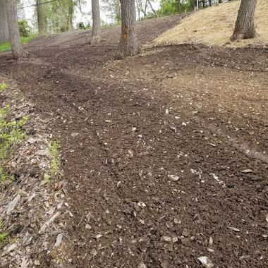 Tilled brown earth on a slight slope, with trees in the background.