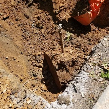 Newly planted tree sapling in a hole, surrounded by brown soil. Orange shovel is visible.