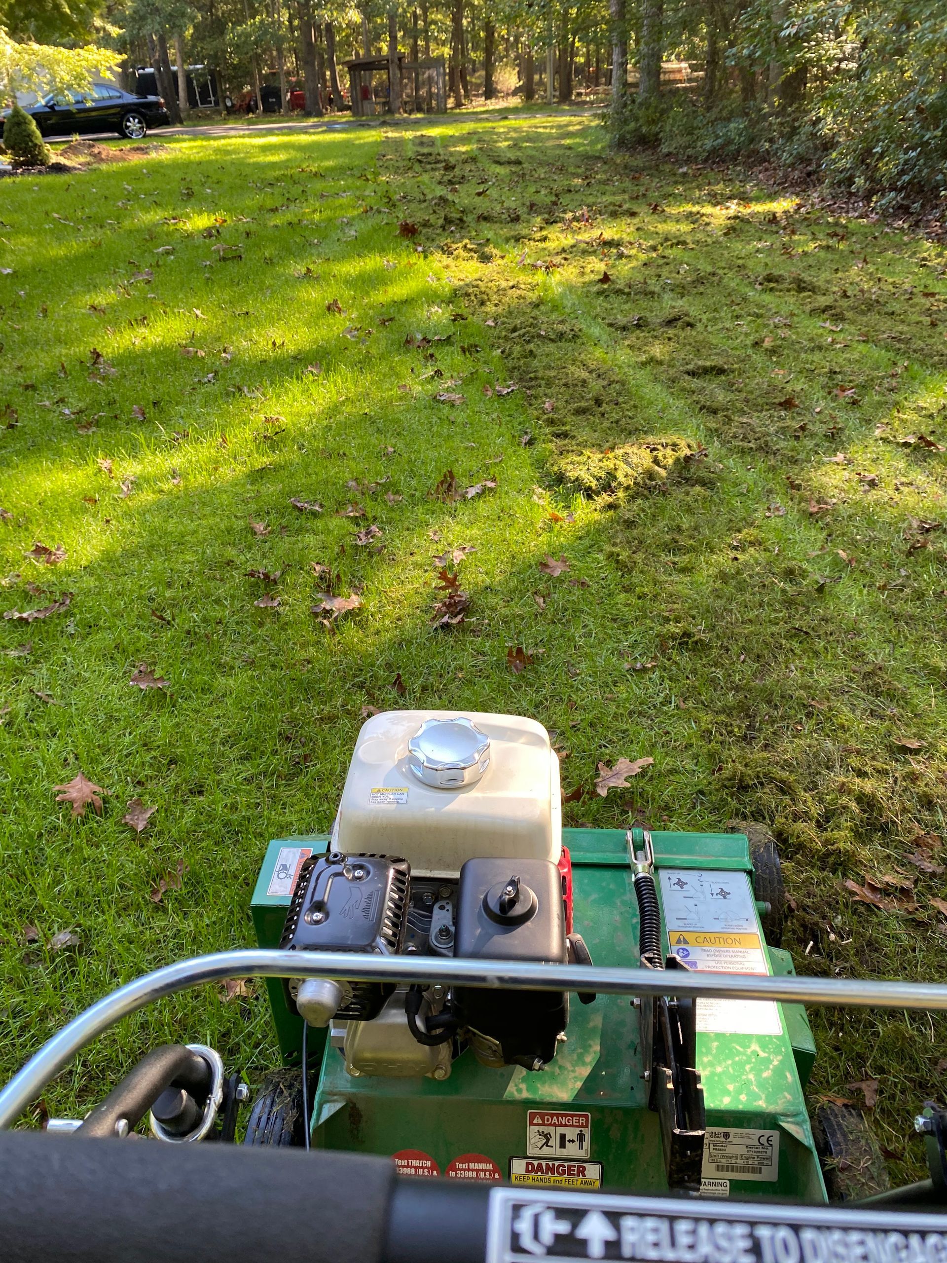 Green lawn being aerated by a dethatching machine