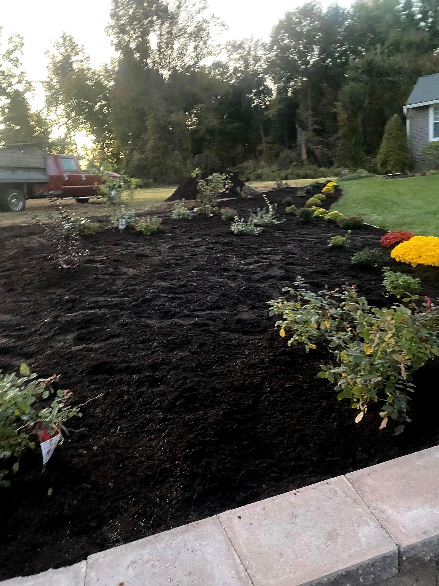 Flower bed with dark mulch, plants, and colorful flowers near a house